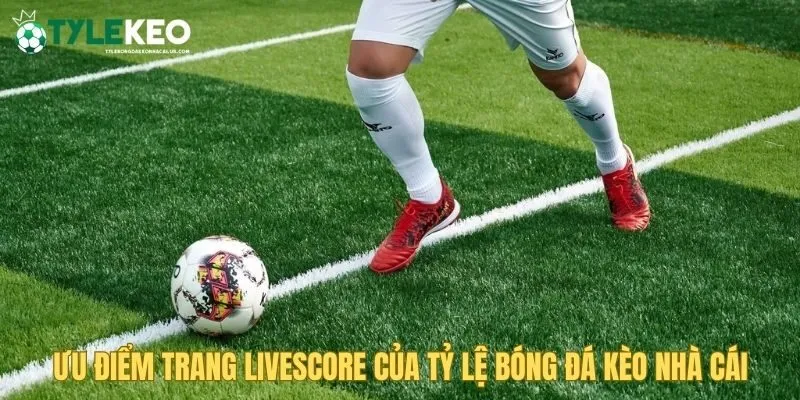Ưu điểm trang Livescore Tỷ Lệ Bóng Đá Kèo Nhà Cái